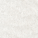 Close-up of Texas Salt Co. Republic of Senegal African Salt by Texas Salt Co—coarse, mineral-rich sea salt crystals scattered densely, creating a rough texture with variously sized, angular grains against a bright background.