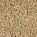 A close-up of Texas Salt Co. White Peppercorn shows numerous round, beige peppercorns with slightly rough surfaces, packed tightly together.