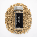 A glass jar labeled Texas Salt Co. White Peppercorn is placed on a pile of whole white peppercorns, photographed from above on a white background.