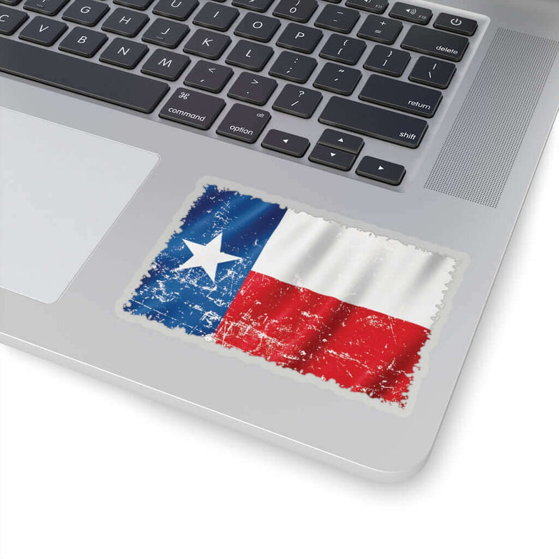 Texas Flag BBQ Sticker DDR Fab