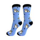 Australian Shepherd dog socks for BBQ lovers at DDR BBQ Supply – great gift for grillers with active herding dogs