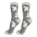 Bichon Frise dog socks for BBQ lovers at DDR BBQ Supply – fun gift for grillers and their fluffy white companion