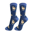 Boxer dog socks for BBQ lovers at DDR BBQ Supply – great gift for grillers and their energetic pup companions