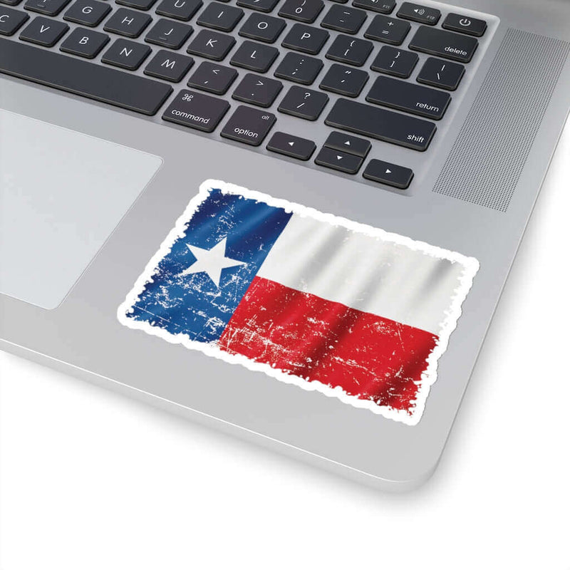 Texas Flag BBQ Sticker DDR Fab