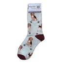 Beagle dog socks for BBQ lovers at DDR BBQ Supply – perfect gift for backyard grillers and their hound companions