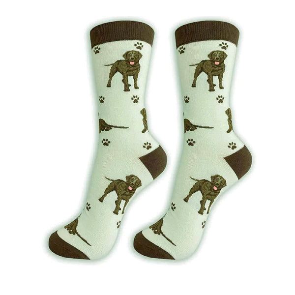 Chocolate Labrador Dog Socks E & S Pets/Faire