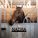 Stall Sign II DDR Fab