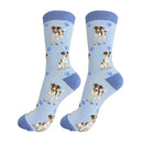 Jack Russell dog socks for BBQ lovers at DDR BBQ Supply – perfect for grillers with high-energy backyard sidekicks