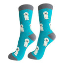 Poodle dog socks for BBQ lovers at DDR BBQ Supply – perfect gift for grillers and their fancy four-legged friends