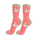 Shih Tzu dog socks for BBQ lovers at DDR BBQ Supply – perfect gift for grillers and their laid-back lapdog companions
